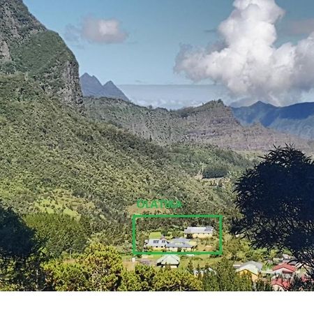 Olatika - Gite Des Cascades Cilaos Exteriör bild