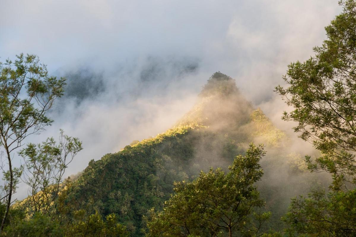 Olatika - Gite Des Cascades Cilaos Exteriör bild
