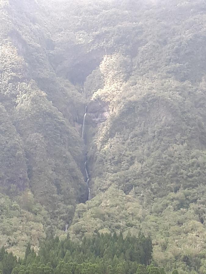 Olatika - Gite Des Cascades Cilaos Exteriör bild